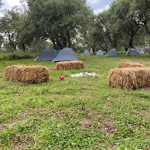 ikas-camping.albaniahotels.org/
